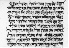 Figure 17. Passage from Leviticus in Parsic square script 1571 C.E. New York, Jewish Theological Seminary of America, Ms. Adler 313.