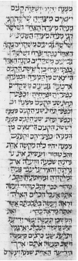 Figure 28. The oldest European Ms. in Italkian square script. Bible dated 979 C.E. Rome, Vat. Lib., Ms. Urb. Ebr. 2, fol. 41a.