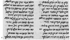 Figure 8. Excerpt from Shain Shirazis Judeo-Persian paraphrase of the Pentateuch in Parsic mashait script, 1702. London, British Museum, Ms. Or. 4742, fol. 342b.